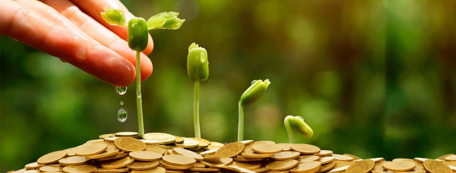 mano regando plantas en monedas