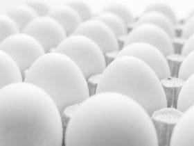 Huevos